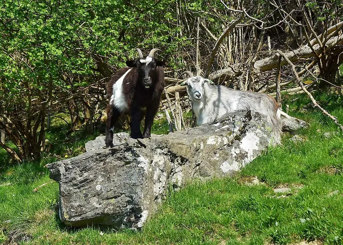 6 Person In Onarheim (Tysnes)