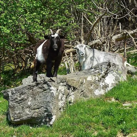 6 Person In Onarheim (Tysnes)